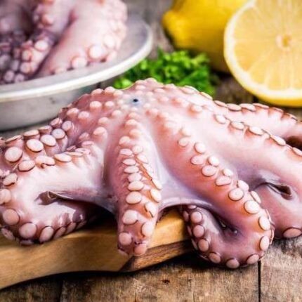 Octopus