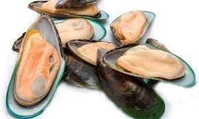 Mussels